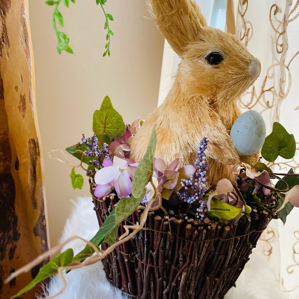 Bunny